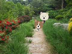 -燕郊植物园