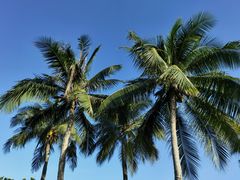 -石梅湾艾美度假酒店