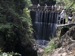 -大奇山国家森林公园