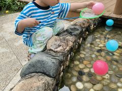 -蒙蒙狮蒙台梭利儿童之家
