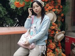 -重庆十八梯传统风貌区