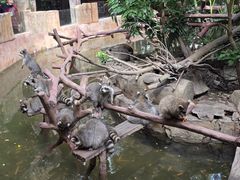 -长鹿旅游休博园