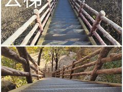 -北京凤凰岭