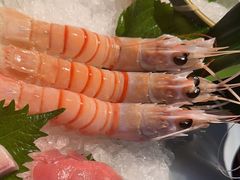 -Mr.Fish鱼鲜生海鲜放题(高德置地冬广场店)