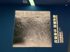 -湖南省地质博物馆