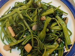 -食德喜·阳山鸡王食研基地