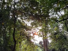 -水濂山森林公园