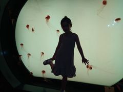 -沈阳海洋探索中心