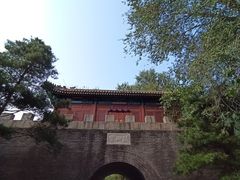 -云岗森林公园