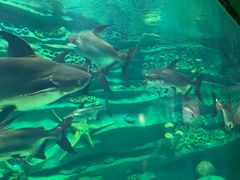 -龙谷湾旅游休闲度假区