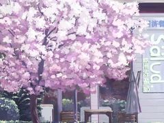 -同济大学(沪西校区)