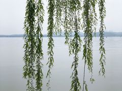 -东湖生态旅游风景区
