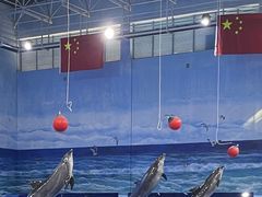 -多彩贵州城极地海洋世界