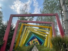 -合肥滨湖国家森林公园