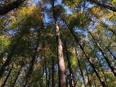 -山王坪喀斯特国家生态公园