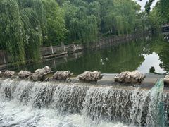 -观潮胜地公园