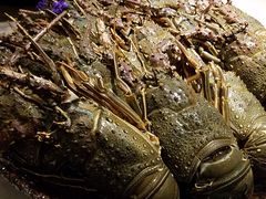 -雍和会海鲜姿造自助(湖东路店)