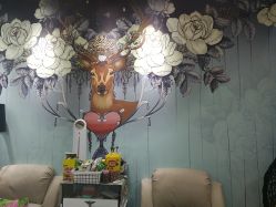 -甲舍美甲美睫艺术馆