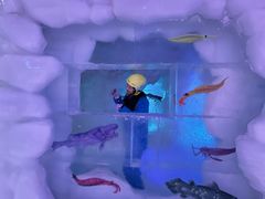 -世界之窗阿尔卑斯冰雪世界