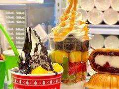 -Salud撒露欧洲冻酸奶(五道口购物中心店)