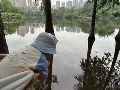 -重庆彩云湖湿地公园
