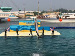 -秦皇岛乐岛海洋王国