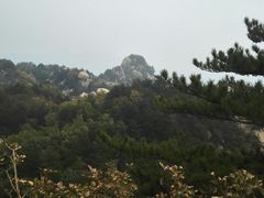 -六里坪国家森林公园