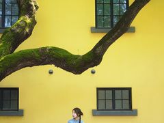 -Le Siècle.百年西餐厅(颐和公馆店)