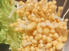 -蜀九香火锅(彩虹店)