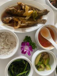 -美悦月子中心(财大店)