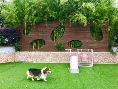 -汪说喵讲宠物乐园宠物酒店(红星美凯龙店)