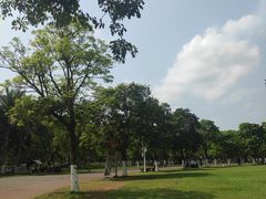 -万绿园