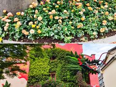 -思南公馆商业街