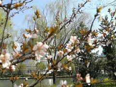 -上海市第一人民医院(松江南部)