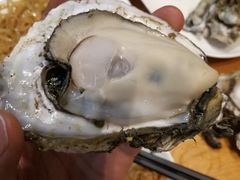 -烧蠔帮·湛江生蚝(工农店)