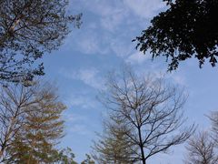 -香蜜公园