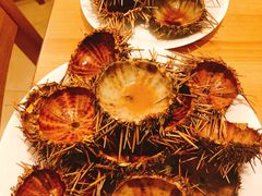 -海胆小馆(东北水饺·春柳店)