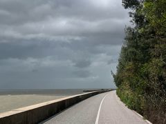 -北海金海湾红树林生态旅游区