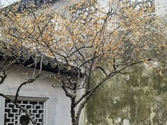 -拙政园