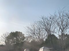 -长广溪湿地公园