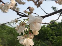 -南山植物园