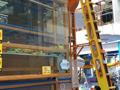 -中国宋庆龄青少年科技文化交流中心