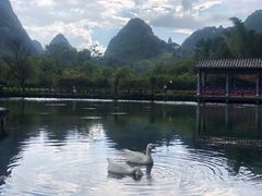 -靖西鹅泉风景区