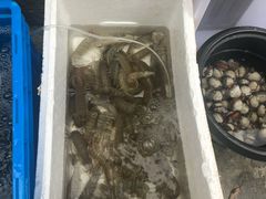 -阿杰臻选海鲜饭店(普陀山店)