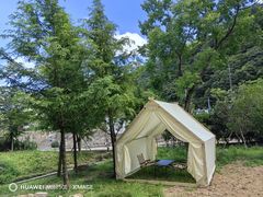 -北仑森林植物园