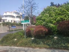 -八大关景区