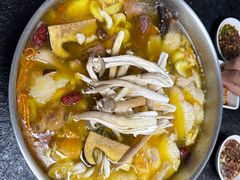 -菌极鲜野生菌火锅店(阳明祠店)