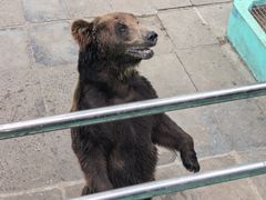 -西霞口神雕山野生动物世界