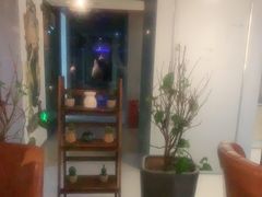 -梵猫·新养生(福州万象城店)