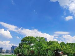 -武汉知音号